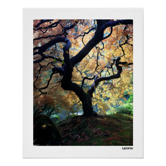 Poster in de herfst perfect poster (Voorkant)