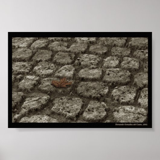 Poster In-der-welt-sein (Devant)