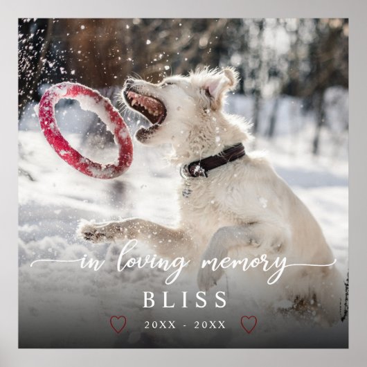 Poster In Love Memory Calligraphy Pet Photo Monogramme (Devant)