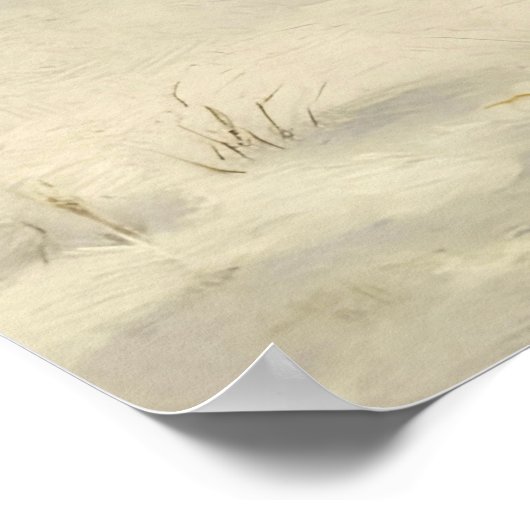 Poster In the Cold (Coin)