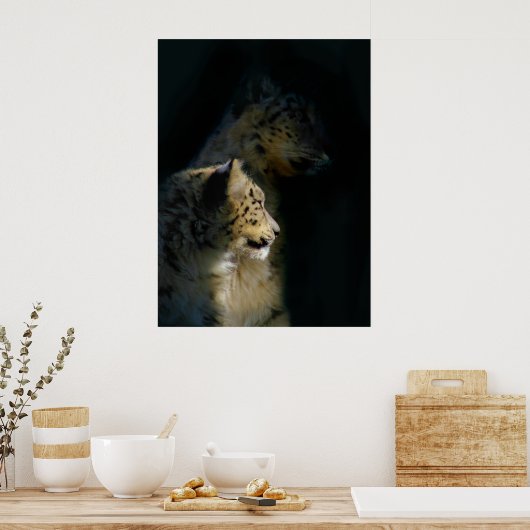 Poster In the Shadows (Cuisine)