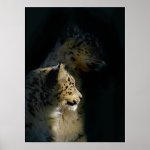 Poster In the Shadows