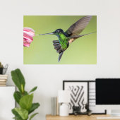 Poster Inca Hummingbird in Flight Pose (Bureau à domicile)