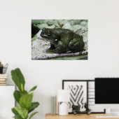 Poster Incilius alvarius (Bureau à domicile)