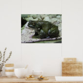 Poster Incilius alvarius (Cuisine)