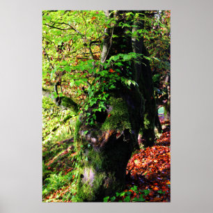 Poster incliné et couvert