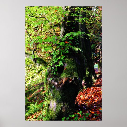 Poster incliné et couvert (Devant)
