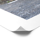 Poster Incomestible (Coin)