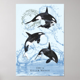 Poster Incroyable Orques d'aquarelle noire et blanche