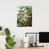 Poster Incroyables colibris Image de Ernst Haeckel (Bureau à domicile)