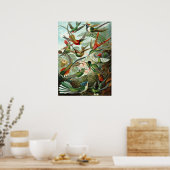 Poster Incroyables colibris Image de Ernst Haeckel (Cuisine)
