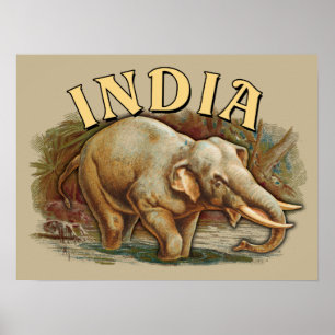 Poster Inde Faune - Eléphant Indien