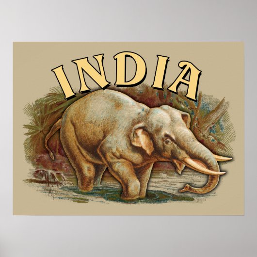 Poster Inde Faune - Eléphant Indien (Devant)