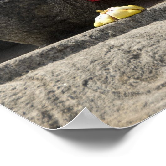 Poster Inde, Mangalore, Karkala. Religion de Jains (Coin)