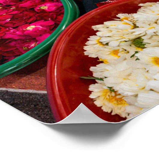 Poster Inde, Rajasthan, Pipar (Coin)