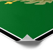 Poster Indépendance/révolution mexicaine 2010 (Coin)