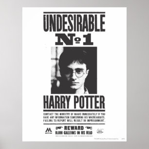 Poster Indésirable n°1