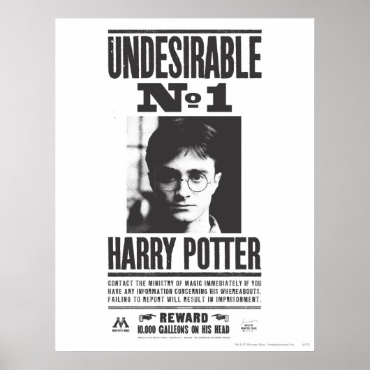 Poster Indésirable n°1 (Devant)