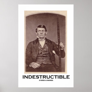 Poster Indestructible (Phineas Gage)