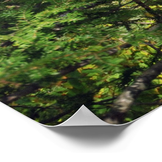 Poster Indian Lake in the Adirondacks. imprimer 08 103 (Coin)