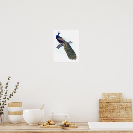 Poster Indian peacock (Cuisine)