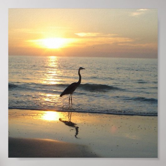 Poster Indian Rocks Beach Floride Sunset Crane (Devant)