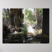 Poster IndianCanyon (2) (Devant)