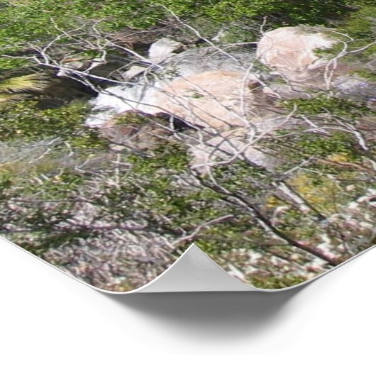 Poster IndianCanyon (8) (Coin)