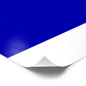 Poster Indicateur d'état du Texas (Coin)