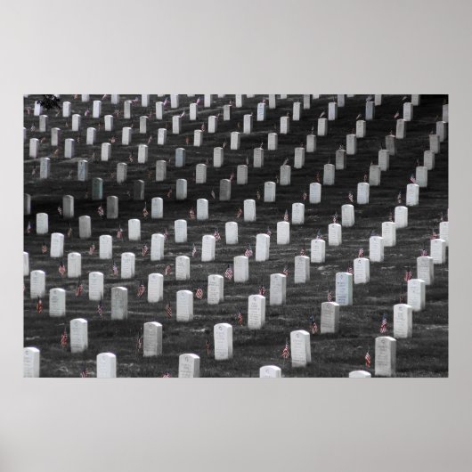 Poster Indicateurs de couleurs Arlington B&W (Devant)