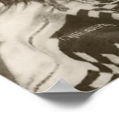 Poster indien (Coin)