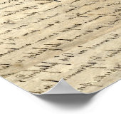 Poster Indien américain (Coin)