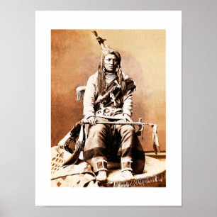 Poster Indien Crow 1880