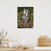 Poster indien de tuyaux (Cuisine)