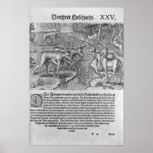 Poster Indiens de la Floride chassant des cerfs communs