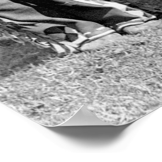 Poster Indiens d'Osage : 1925 (Coin)