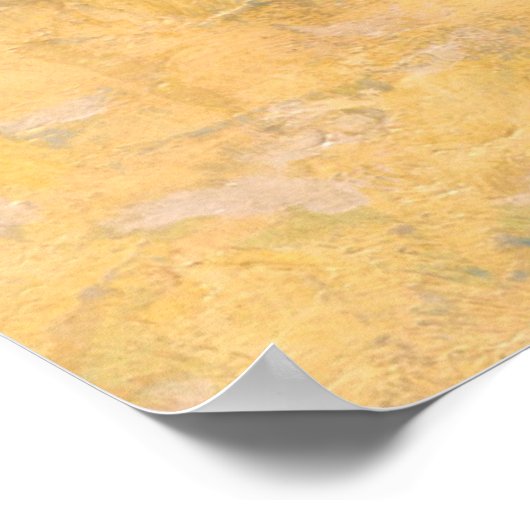 Poster Indiens simulant le buffle (Coin)