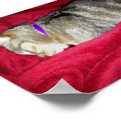 Poster Indigo abandonné (Coin)