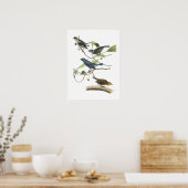 Poster Indigo Bunting par Audubon (Cuisine)