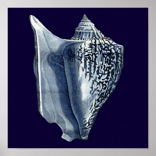 Poster Indigo Shells I (Devant)