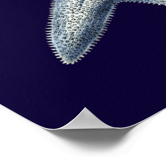 Poster Indigo Shells IV (Coin)