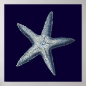 Poster Indigo Shells IV (Devant)