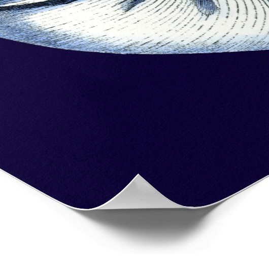 Poster Indigo Shells VII (Coin)