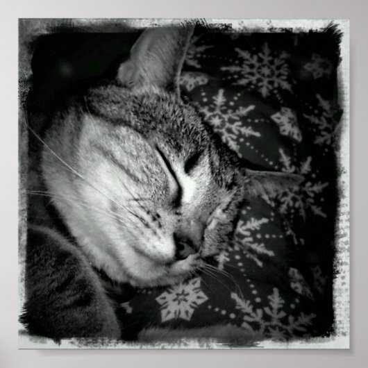 Poster Indigo souriant B+W (Devant)