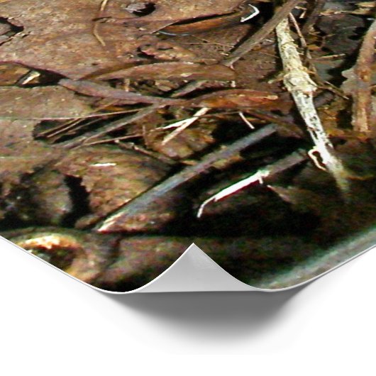 Poster Indische pijpen (Hoek)