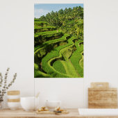 Poster Indonésie, Bali | Rizières (Cuisine)