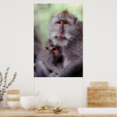 Poster Indonésie, Bali, Ubud, Macaque à longue queue (Cuisine)