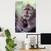 Poster Indonésie, Bali, Ubud, Macaque à longue queue (Bureau à domicile)