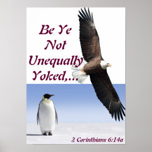 Poster Inégalément Yoked.