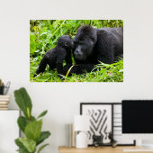Poster Infant Mountain Gorilla Kisses Silverback (Bureau à domicile)